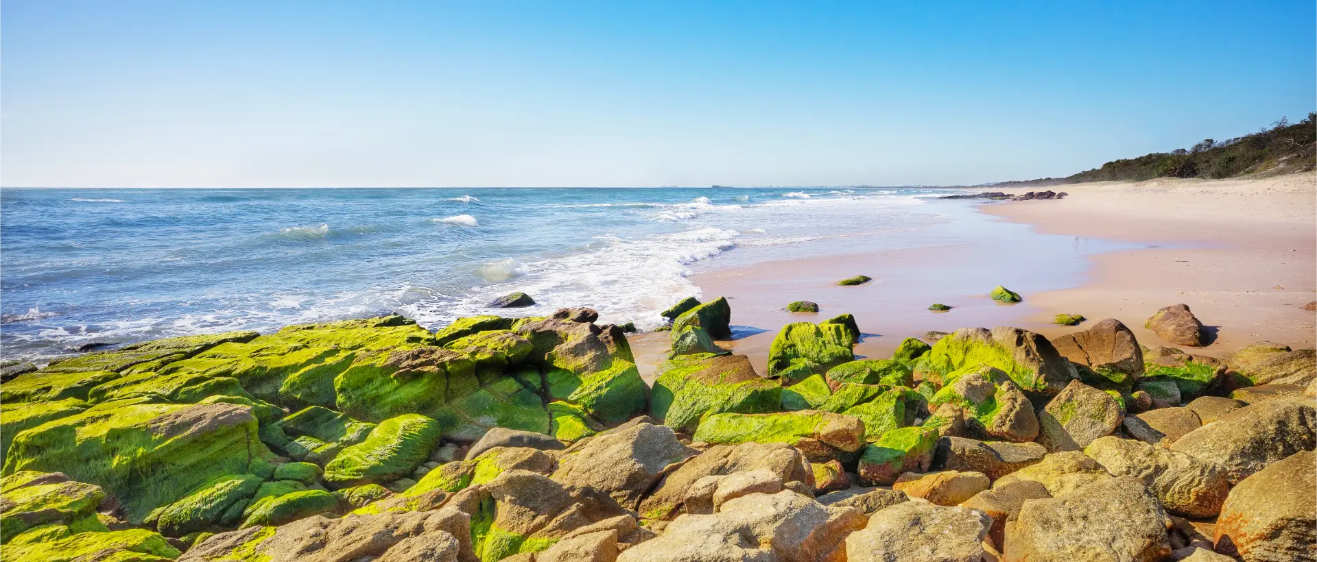 Sunshine Coast Beach